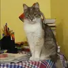 Отзыв от Римма Вавилова